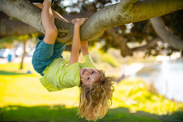Enfant sur une branche d'arbre. Escalade d'enfants dans le parc d'activités aventure. Les assurances. Petit garçon confronté à un défi en essayant de grimper à un arbre. À l'envers. Concept d'enfance. — Photo