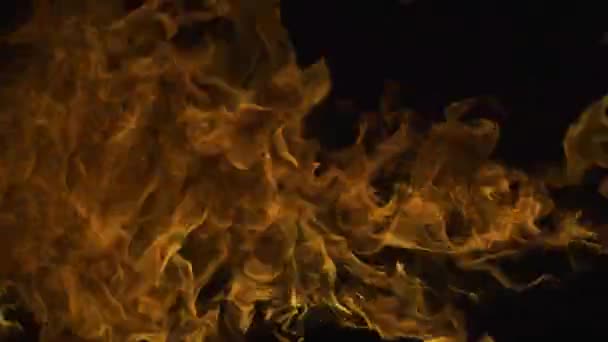 The fire, burning flame. Large burning flaming fire, blaze burning fire flame. Blaze flames overlay background. Explosion fire effect. — Stock Video