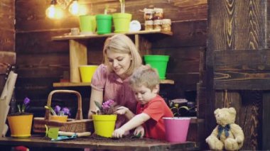 Anne ve çocuğu çömleğe çiçek ekiyor. Küçük tatlı çocuk annesine yardım ediyor. Sevimli çocuk annesinin bitkilere bakmasına yardım ediyor..