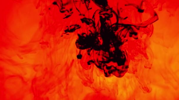 Des éclaboussures colorées sous forme abstraite, de l'encre de couleur a chuté. Couleur rouge sang, sang dans l'eau. Peinture acrylique dans l'eau. Fond d'écran art avec fumée fluide. — Video