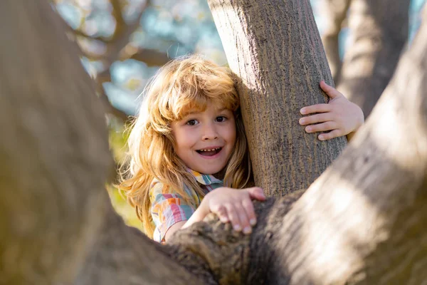 Gyerekkori szabadidő, boldog gyerekek másznak fel a fára és szórakoznak a nyári parkban. Vicces kölykök arca. A gyerekek szeretik a természetet vidéken.. — Stock Fotó
