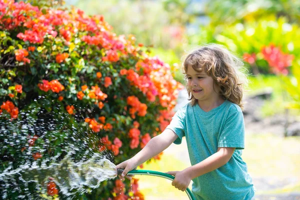 Малюк розважається в домашньому саду. Дитина тримає садовий шланг. Активні ігри на відкритому повітрі для дітей на задньому дворі під час збору врожаю . — стокове фото