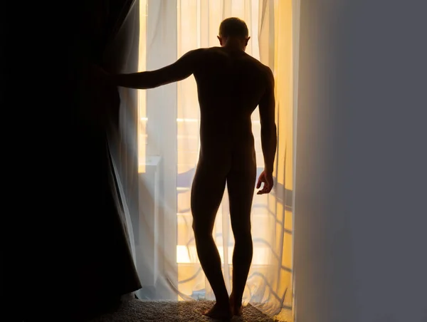 Morning gay. Rear view of young man looking at city scenery in window after waking up, back light. Nude man shows his backside and butt, bottom, as he stands in front of curtains in room. — 图库照片