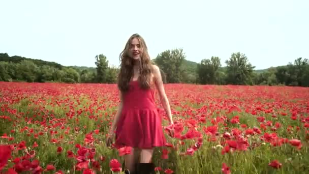 Bella ragazza primaverile correre nel campo di papavero. Bellezza giovane donna su sfondo papaveri, fiore di primavera prato fiorito. Teen ragazza in un campo di papaveri rossi gode della natura. — Video Stock