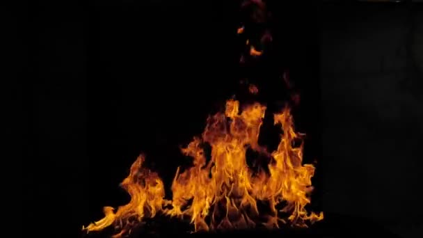 Pal. Abstraktní pozadí ohně a plamenů. Hoří velký plamen. Zpomalený pohyb. — Stock video