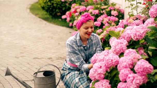 女性は、カントリーハウスの中にピンクの花を気遣います。花のケアの概念です。ピンクの花を彼女の家に女の世話の信じられないほど美しい緑豊かな芽。女性花の水やり. — ストック動画