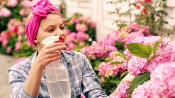 Mujer sonriente con pañuelo rosa regado flores de color rosa. La mujer cuida de la hortensia en el verano. Concepto de jardinería . — Vídeos de Stock