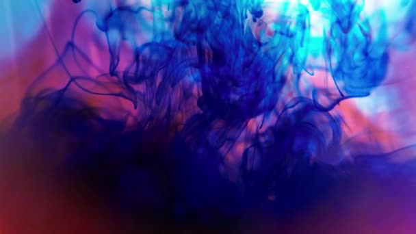 Mixing of color. Colorful Paint Splat design template abstract. Paint color splash background. Color drop in water. — Stock Video