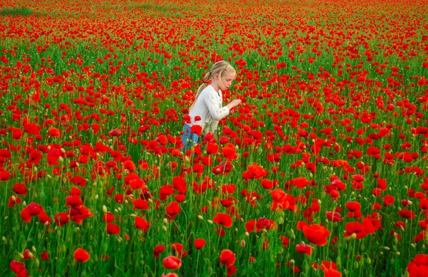 Voorjaarsvakantie met het gezin over de natuur. Poppies weide met poppys bloemen. Mooi kind meisje wandelen in het voorjaar papaver bloemenveld buiten. Voorjaar bloem achtergrond. — Stockfoto
