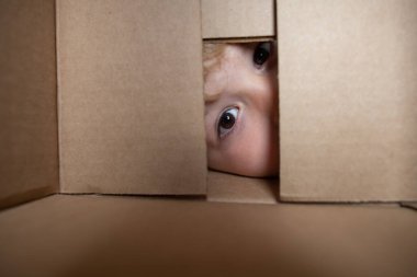 Heyecanlı çocuk kutuya bakıyor, karton kutu taşıyor. Yakından bakan gözler..