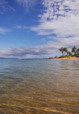 Plaj ve tropikal deniz. Renkli okyanus plajı. Berrak turkuaz su manzarası, Maldivler veya Hawaii.