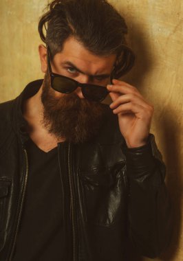 Vahşi, öfkeli bir çete üyesi yaşam tarzı, ciddi yakışıklı bir adam. Sakallı hippi..