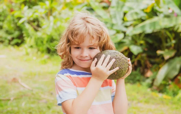 Niños lindo o niño niño sonrisa y celebración de fruta de aguacate. —  Fotos de Stock