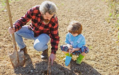 Baba bir ağaç dikiyor ve oğlu ona yardım ediyor. Baba ve çocuk bahçede bahçıvanlık yapıyor. Büyüyen bitki.