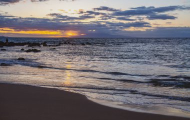 Yaz tatili, tropik bir sahil ve mavi denizin tatil geçmişi. Hawaii plajı.