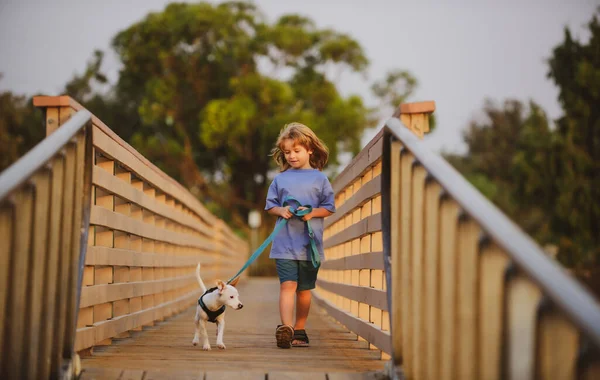 Vamos brincar juntos. Menino garoto andar com cachorro. — Fotografia de Stock