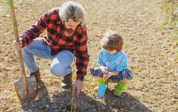 父は息子を助けて木を植えた。庭の地面に父と子供の園芸。成長する植物. — ストック写真