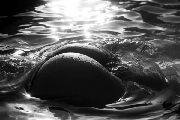 Bikini-Mädchen mit perfektem Körper im Wasser. weiblichen nassen Po mit Tropfen. natürlicher Hintern, sportlich geschnittener Körper. Sommerurlaub mit sexy Bikini-Model. — Stockfoto