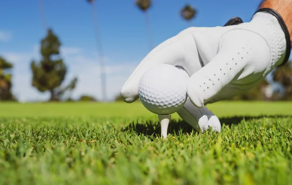 Close-up golfbal op groen grasveld. Golf club. — Stockfoto
