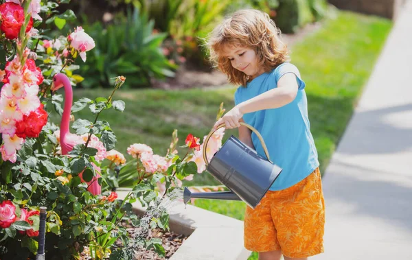Милый малыш поливает растения в саду в летний солнечный день. — стоковое фото
