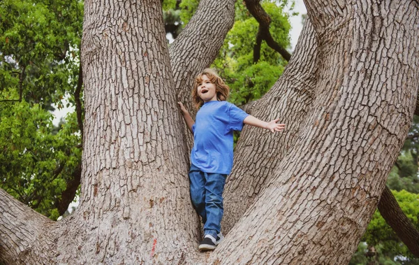 Enfants enfant jouant grimper à un arbre dans un parc en plein air. — Photo