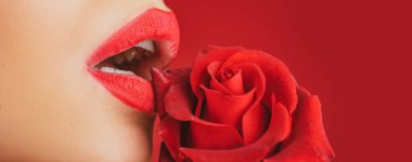 Girl blowjob with tongue, oral sex, symbol. Lips with lipstick closeup. Beautiful woman lips with rose.
