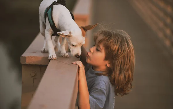 Χαριτωμένο παιδί με κουτάβι. Το αγοράκι φιλάει τον σκύλο. Φιλία, φροντίδα κατοικίδιων ζώων, παιδική χαρά έννοια. — Φωτογραφία Αρχείου