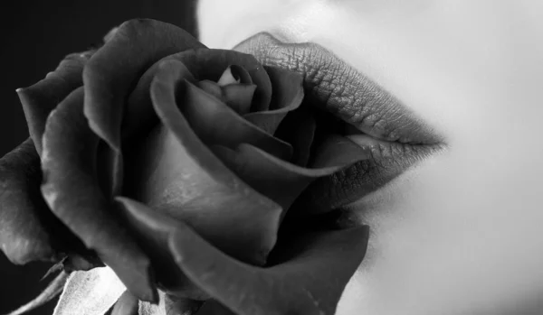 Érzéki vörös ajkak. Ajkak rúzzsal közelről. Gyönyörű nő ajkak rózsával. Gyönyörű nő ajkak rózsával. — Stock Fotó
