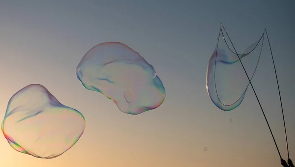 Bolhas de sabão voadoras no céu fundo azul ao pôr-do-sol. Grandes bolhas de sabão ao pôr-do-sol. Bolha fazendo com corda e paus. Fabricação de bolhas com corda e varas. — Fotografia de Stock