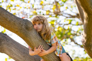 Bahçede oynayan mutlu çocuk ağaca tırmanıyor. Çocuk oynuyor, ağaca tırmanıyor ve dal sallıyor..