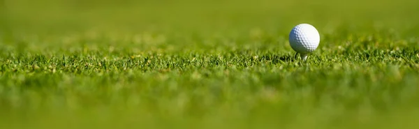 Golfbal op het groene gras, banner. Sport golfbal op achtergrond met kopieerruimte. — Stockfoto