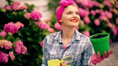 Mutlu genç bahçıvan ortanca bitkileri seçiyor..