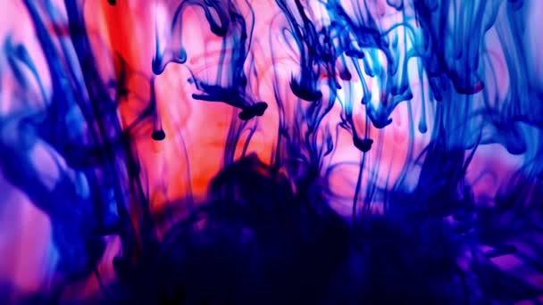 Color paint drops in water, abstract colour mix, drop of ink color mix paint falling on water Colorful paints splash swirling underwater. Overlay color effect. — стоковое видео