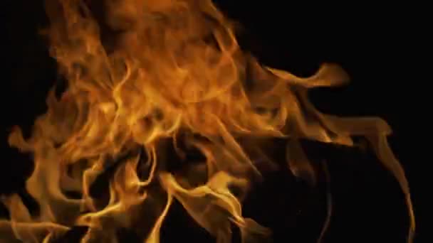 黒の背景に火。抽象的な火災炎の背景、大規模な燃焼火災。黒への火災の影響. — ストック動画