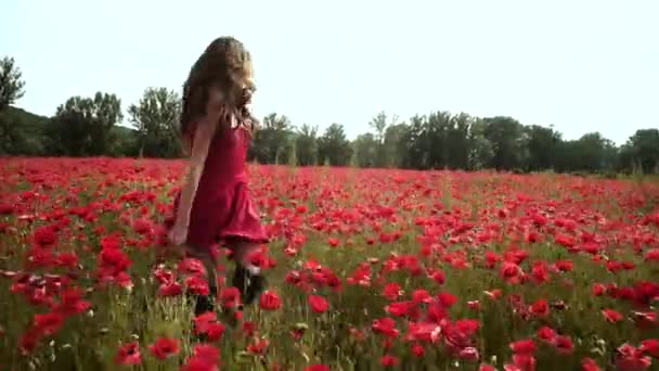 Teen girl in a field of red poppies enjoys nature. Young woman have fun and enjoy the freedom on spring flowering poppy field. Teenager girl resting running on a beautiful poppy field. — Vídeos de Stock