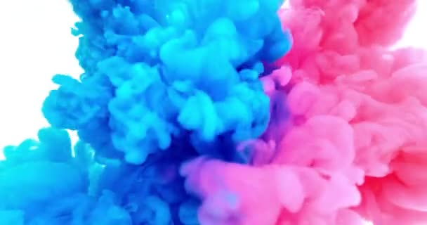 Colorful painted ink on water background. Abstract design of colour painted. Color splash paint mixing. Multicolored liquid dye. Splatter color mixing. Blue and pink. — Video