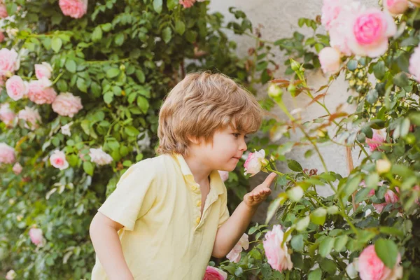 Retrato de un hermoso niño en el jardín floreciente de verano. Niño feliz en el prado con flores blancas. Una cálida noche de verano. Niños y naturaleza. — Foto de Stock