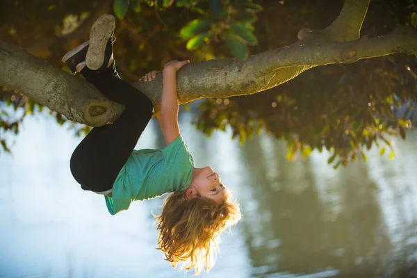 Ένα αγοράκι που προσπαθεί να σκαρφαλώσει σε ένα δέντρο. Παιδιά σκαρφαλώνουν σε δέντρο. Χαρούμενο αγόρι που απολαμβάνει την καλοκαιρινή μέρα στον κήπο. — Φωτογραφία Αρχείου