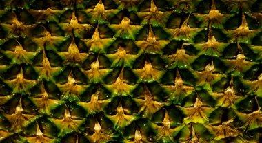 Ananas desenli. Ananas derisi yakın, kopyalanmış tropikal desen.