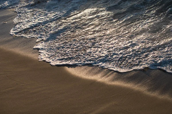 Fond d'écran océan, fond d'écran mer. Plage tropicale, rivage paradisiaque avec fond bleu. — Photo