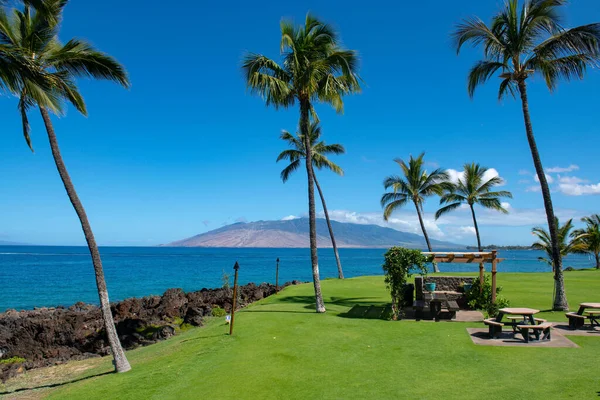 Palmiye adası cennet duvar kağıdı. Gökyüzünde güneş ışığı olan tropik palmiye ağacı soyut bir arkaplan. Yaz tatili ve doğa yolculuğu macera konsepti.