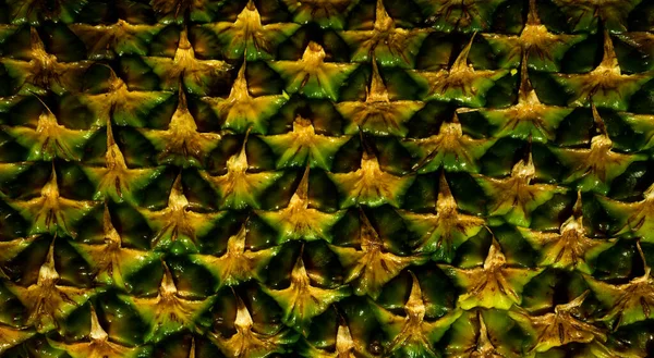 Ananas desenli. Ananas derisi yakın, kopyalanmış tropikal desen.