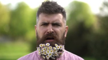 Alerji, bahar alerjisi mevsimi. Sakallı, süslü sakallı adam. Sakallı bir hippi. Sakallı, açık hava fotoğraflı komik bir adam..