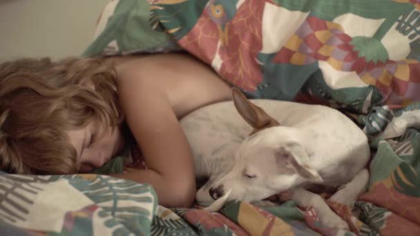 Kid boy with dog lying in bed and sleeping. Violations of sleep, rest and wakefulness. Pet best friend. Sleeping time for child boy with pet. Child and dog hugs with tenderness and sleep. Childhood. — Stock Video