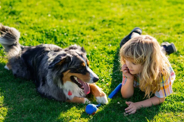 Niño pequeño con perro en una hierba. —  Fotos de Stock