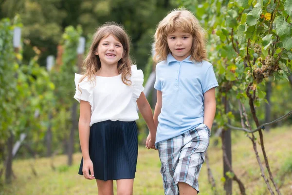 Brother and sister walking outdoors. Little boy and girl working in the garden. Two happy children in summer park. Kids summer holiday vacation concept. Childrens friendship. — Photo