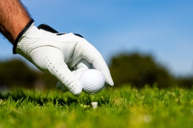 Golf eldivenli golfçü golf sahasında oynuyor. Golf sahasında golf topuna el atmak..