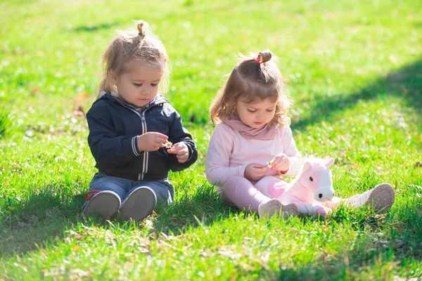 Bel ragazzo e ragazza sul campo estivo. Carino babys sedersi su erba verde in estate. Ragazzino divertente sulla natura. Felice Infanzia. — Foto Stock