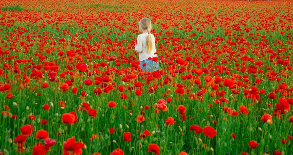 아름다운 소녀의 모습은 양귀비 꽃 밭에서 평상복을 입고 있다. 봄 양귀비 들판의 가족. 봄 꽃이 피는 초원 배경. — 스톡 사진