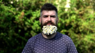 Bahar günü. Çiçek sakallı yakışıklı bir adam. Bahar çiçekli sakal. Sakallı, süslü sakallı adam. Çiçekli sakal..